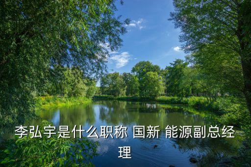 李弘宇是什么職稱 國(guó)新 能源副總經(jīng)理