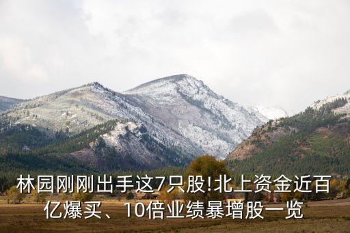 林園剛剛出手這7只股!北上資金近百億爆買(mǎi)、10倍業(yè)績(jī)暴增股一覽