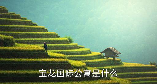 寶龍國際公寓是什么