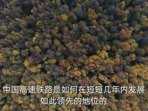 中國高速鐵路是如何在短短幾年內(nèi)發(fā)展如此領(lǐng)先的地位的