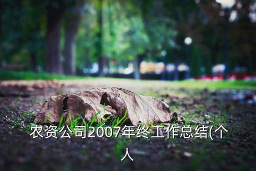  農(nóng)資公司2007年終工作總結(jié)(個人