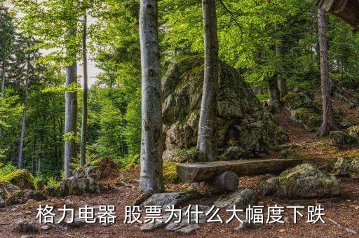 格力近幾年的股票價格