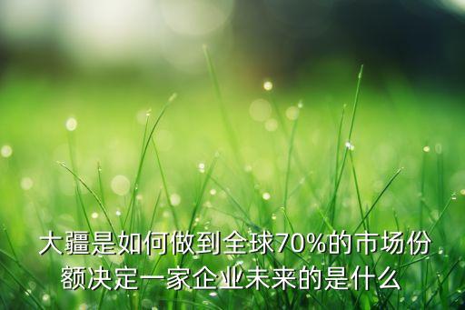  大疆是如何做到全球70%的市場份額決定一家企業(yè)未來的是什么