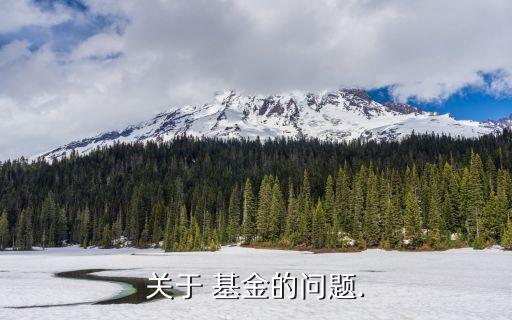 關(guān)于 基金的問題.