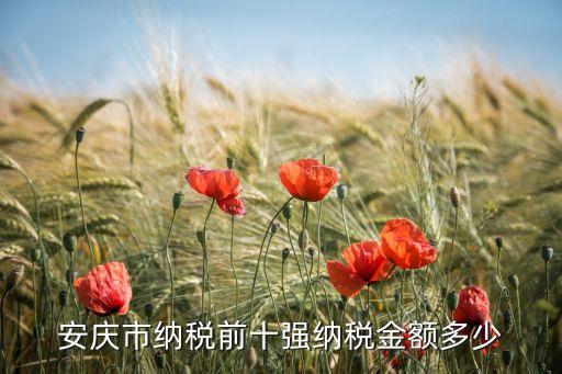 安慶市納稅前十強納稅金額多少