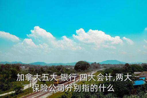  加拿大五大 銀行,四大會計(jì),兩大保險(xiǎn)公司分別指的什么
