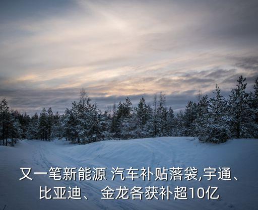 又一筆新能源 汽車補貼落袋,宇通、比亞迪、 金龍各獲補超10億