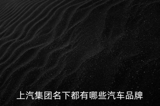 上汽集團(tuán)名下都有哪些汽車品牌