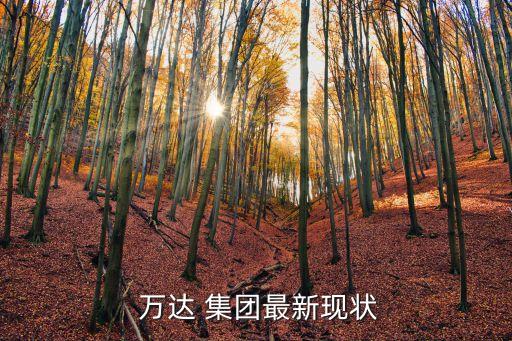  萬達(dá) 集團(tuán)最新現(xiàn)狀