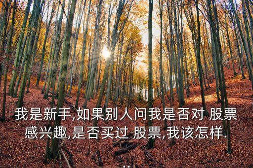我是新手,如果別人問我是否對(duì) 股票感興趣,是否買過 股票,我該怎樣...