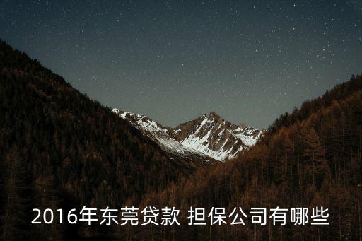 2016年東莞貸款 擔保公司有哪些