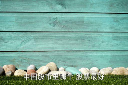 中國(guó)股市里哪個(gè) 股票最好