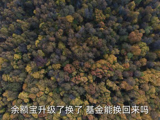 余額寶升級(jí)了換了 基金能換回來嗎