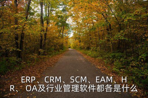 ERP、CRM、SCM、EAM、HR、 OA及行業(yè)管理軟件都各是什么