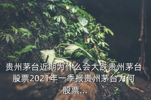 貴州茅臺近期為什么會大跌貴州茅臺 股票2021年一季報貴州茅臺為何 股票...