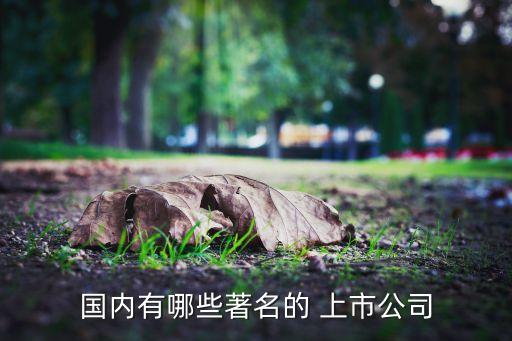 國內有哪些著名的 上市公司