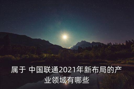 屬于 中國聯(lián)通2021年新布局的產(chǎn)業(yè)領域有哪些