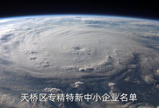 天橋區(qū)專精特新中小企業(yè)名單