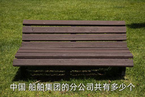 中國 船舶集團(tuán)的分公司共有多少個
