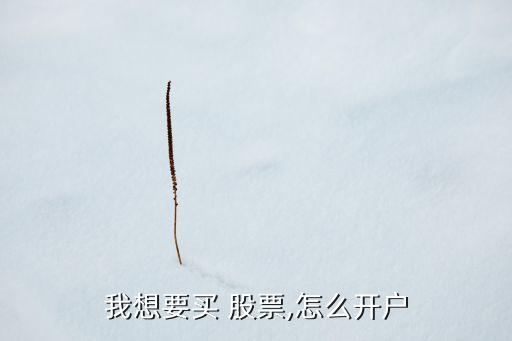 我想要買(mǎi) 股票,怎么開(kāi)戶(hù)