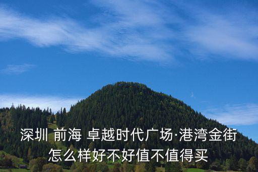 深圳 前海 卓越時(shí)代廣場(chǎng)·港灣金街怎么樣好不好值不值得買