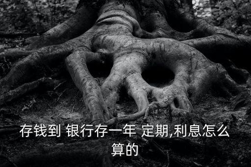 存錢到 銀行存一年 定期,利息怎么算的