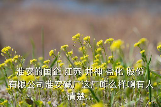 淮安的國企 江蘇 井神 鹽化 股份 有限公司淮安堿廠這廠咋么樣啊有人清楚...