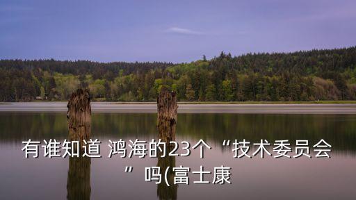 鴻海集團股東,鴻?？萍技瘓F股東