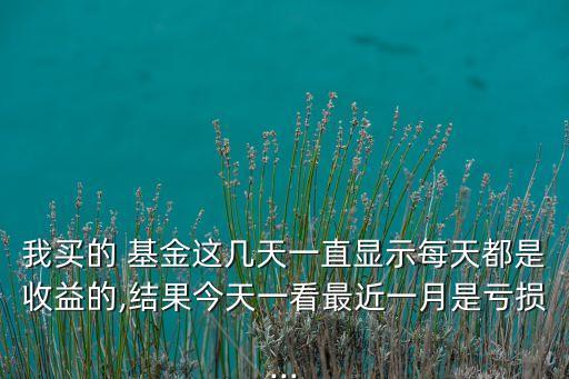 我買的 基金這幾天一直顯示每天都是收益的,結果今天一看最近一月是虧損...