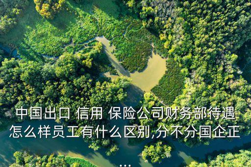 中國出口 信用 保險(xiǎn)公司財(cái)務(wù)部待遇怎么樣員工有什么區(qū)別,分不分國企正...