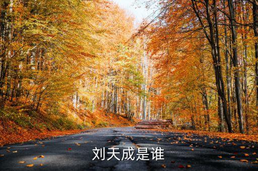 劉天成是誰(shuí)