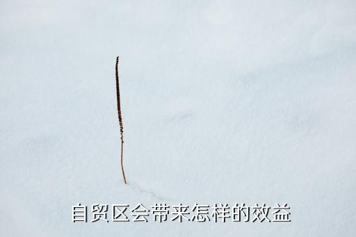  自貿(mào)區(qū)會(huì)帶來怎樣的效益