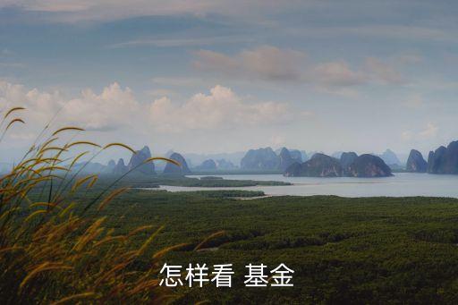 怎樣看 基金