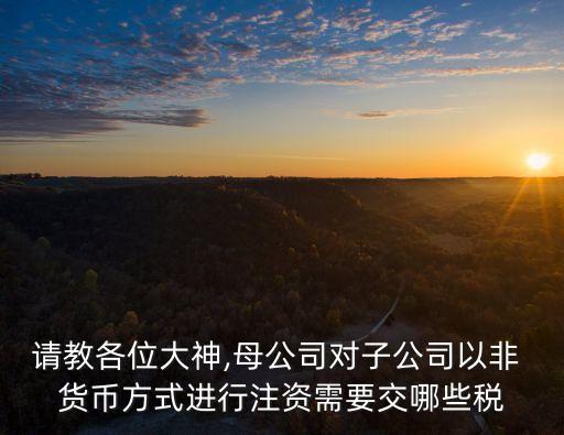 請教各位大神,母公司對子公司以非 貨幣方式進行注資需要交哪些稅