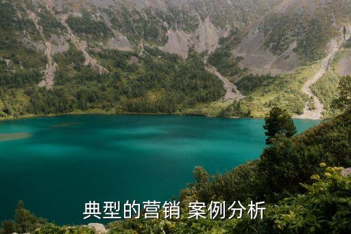 典型的營(yíng)銷 案例分析