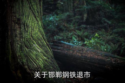 河北剛鐵股票,重慶鋼鐵股票