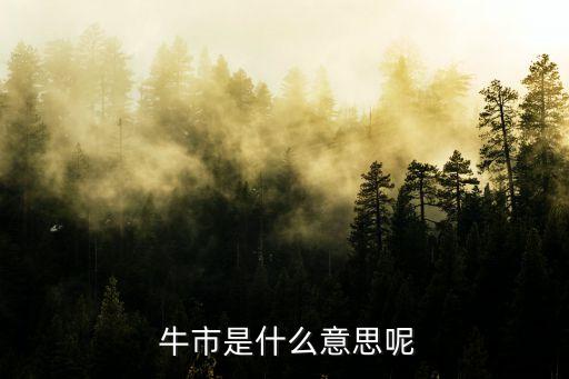 中國股市里牛市是什么,股市的牛市指的是什么