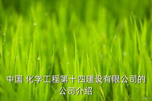 中國 化學工程第十四建設有限公司的公司介紹
