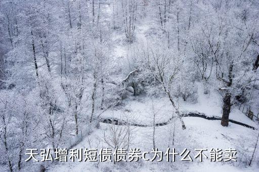 天弘增利寶貨幣市場(chǎng)基金招募說(shuō)明書(shū)
