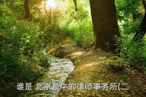 誰(shuí)是 北京最牛的律師事務(wù)所(二