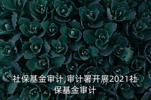 美國社?；饘徲?jì),審計(jì)署開展2021社?；饘徲?jì)