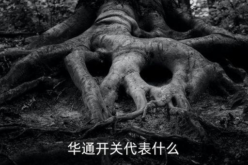 華通開(kāi)關(guān)代表什么