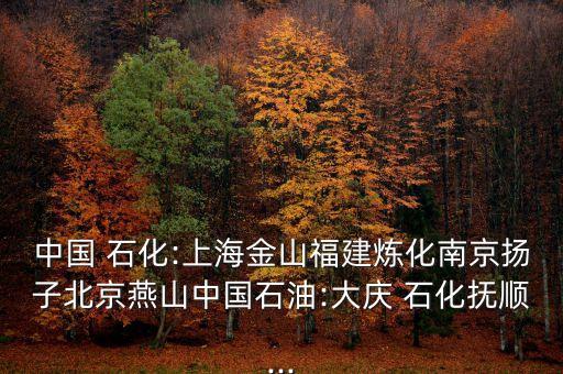 中國 石化:上海金山福建煉化南京揚子北京燕山中國石油:大慶 石化撫順...