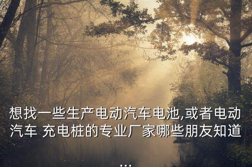 想找一些生產(chǎn)電動(dòng)汽車電池,或者電動(dòng)汽車 充電樁的專業(yè)廠家哪些朋友知道...