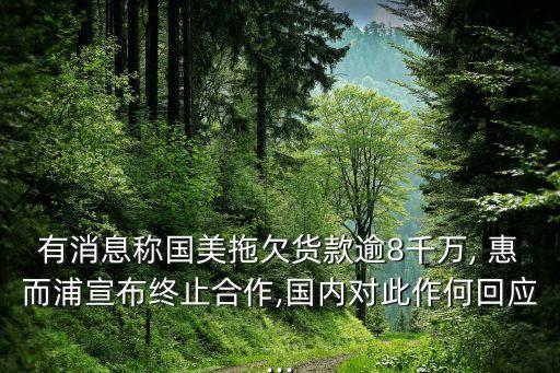 有消息稱國美拖欠貨款逾8千萬, 惠而浦宣布終止合作,國內(nèi)對(duì)此作何回應(yīng)...