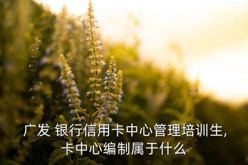  廣發(fā) 銀行信用卡中心管理培訓(xùn)生,卡中心編制屬于什么