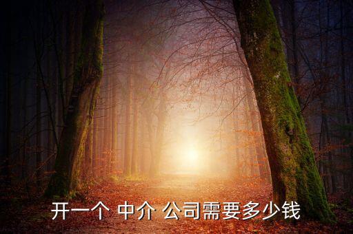 開(kāi)一個(gè) 中介 公司需要多少錢