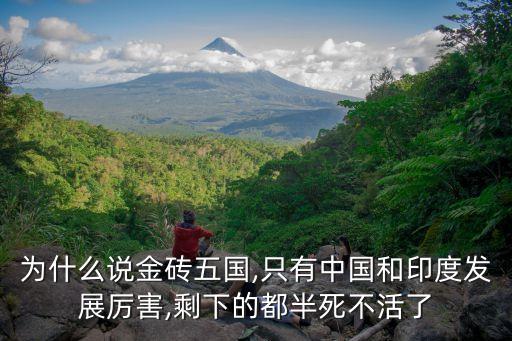 為什么說(shuō)金磚五國(guó),只有中國(guó)和印度發(fā)展厲害,剩下的都半死不活了