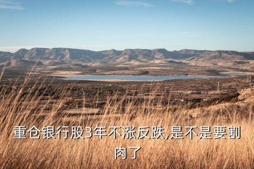 重倉(cāng)銀行股3年不漲反跌,是不是要割肉了