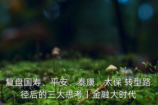 復(fù)盤國壽、平安、泰康、太保 轉(zhuǎn)型路徑后的三大思考丨金融大時代